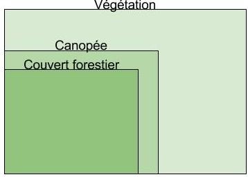 Couvert forestier